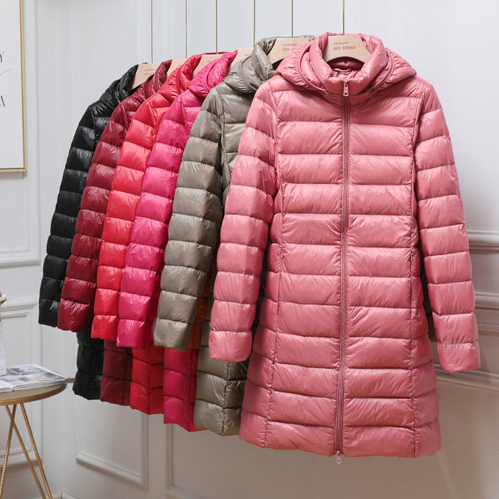 Tarin | Sophisticated Jacket
